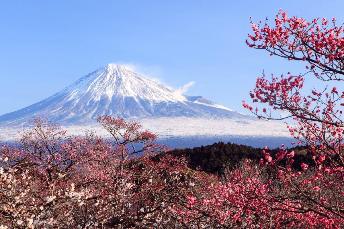 The Top 10 Sights of Japan