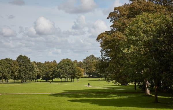 The Parks That Made the Man Who Made Central Park